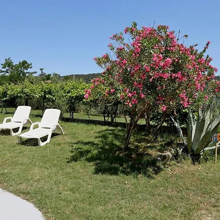 By The Sea - Gonar, Rab - 18650 * Supetarska Draga